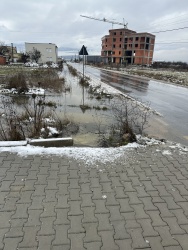 Photo of this report