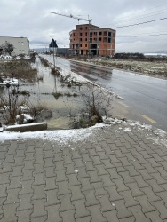 Photo of this report