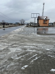 Photo of this report