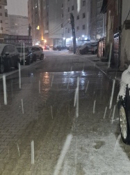 Photo of this report