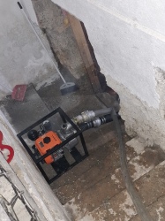 Photo of this report