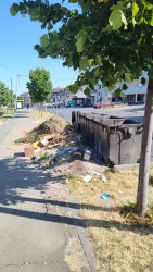 Photo of this report