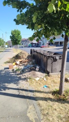 Photo of this report