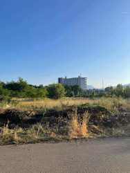 Photo of this report