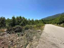 Photo of this report