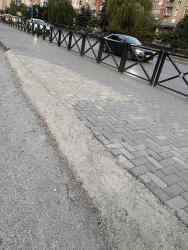 Photo of this report