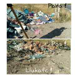 Photo of this report