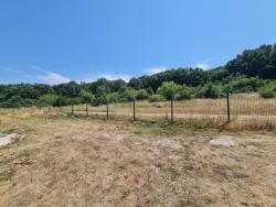 Photo of this report