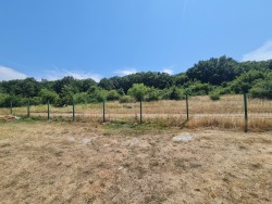 Photo of this report