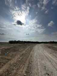 Photo of this report