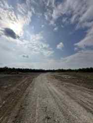 Photo of this report