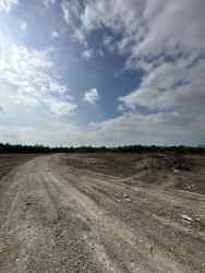 Photo of this report