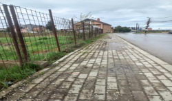 Photo of this report