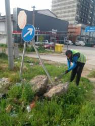 Photo of this report