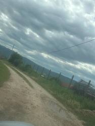 Photo of this report