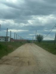 Photo of this report