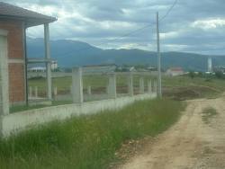 Photo of this report